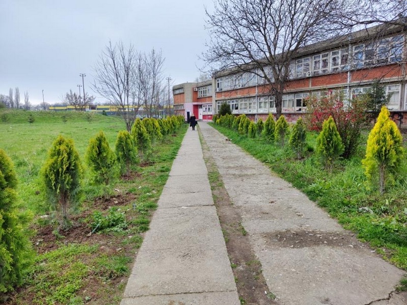 Dvorište Ekonomske škole oplemenjeno sa 60 ukrasnih četinara