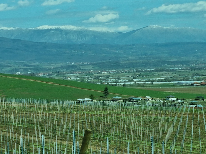 Pogled na Leskovac sa buduće „Toskane“ (foto i video priča)