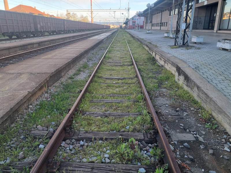 Na srpskim prugama sledeće godine 18 novih vozova, očekuje se da linija Leskovac–Niš ponovi uspeh linije Beograd–Novi Sad