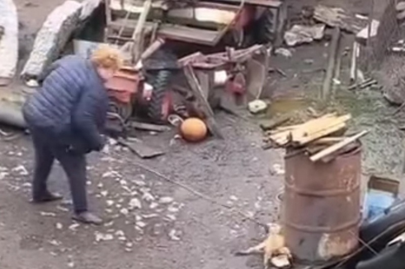 Uhapšena žena koja je drvenim štapom krvnički ubila psa u dvorištu (uznemirujući video)