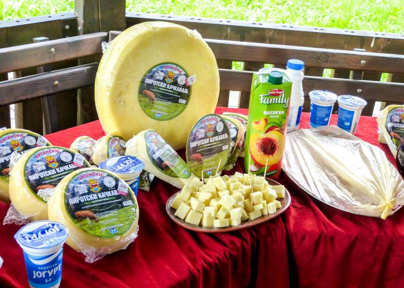 Organski pirotski kačkavalj i beli sir, novi proizvodi Mlekarske škole
