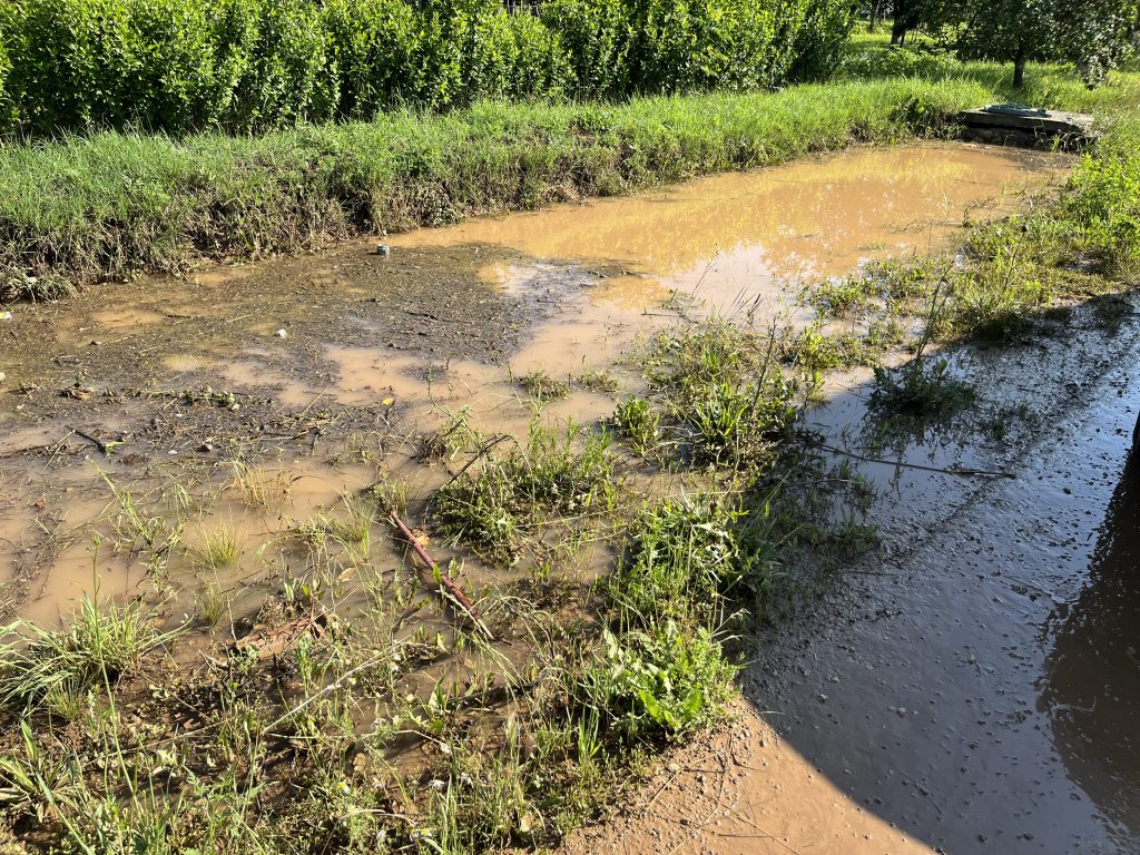 Izlila se reka Lužnica i poplavila put ka Leskovcu, zbog nevremena koje je pogodilo Pirot i Babušnicu poplavljena i domaćinstva