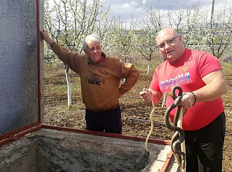 Vladica izvadio zmiju i iz grobnog mesta pokojnika