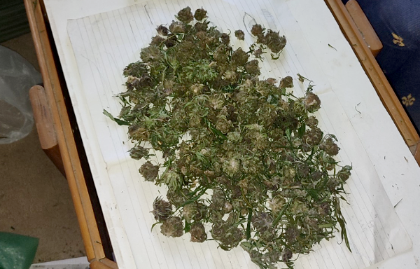 Zbog više od 5 kilograma marihuana uhapšena trojica