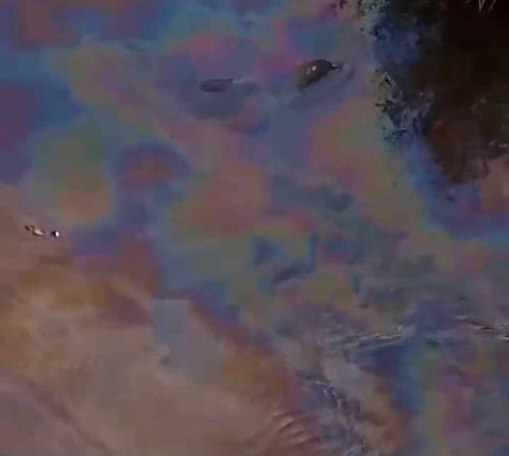 U Jablanici u centru Lebana nafta u vodi, ribe uginule (video)