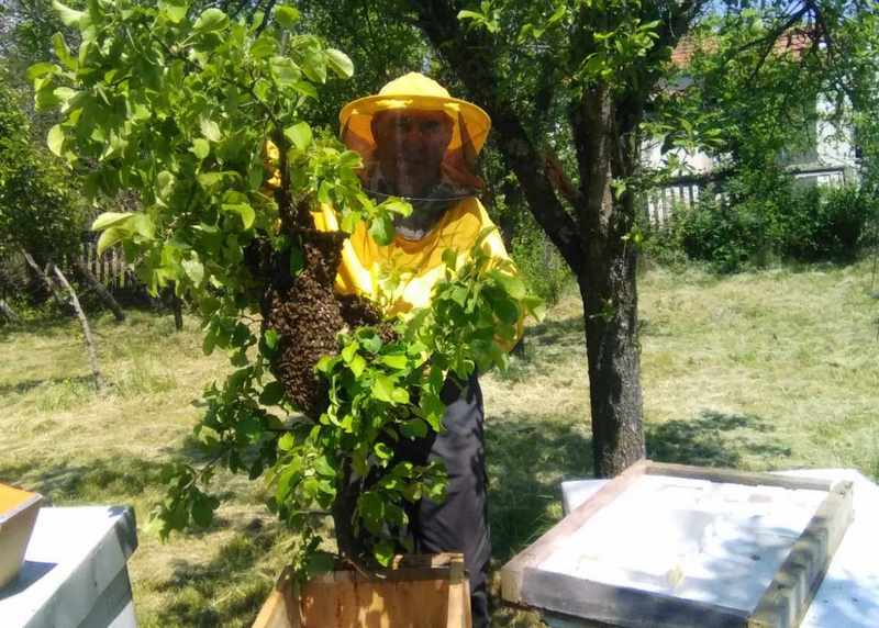 Priča o malim-velikim ljudima: Razgovor s Radetom uz čašicu rakije i pogledom na pčelinajk