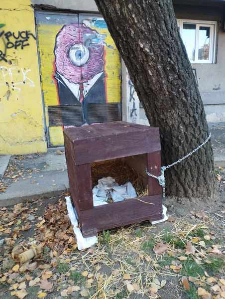 Niču zimske kućice za pse usred stambenih četvrti, nekim stanarima smeta