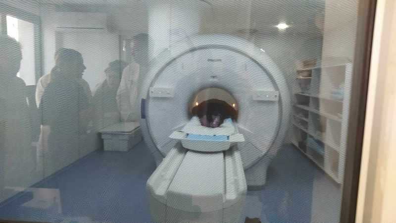 Počeli pregledi na magnetnoj rezonanci u Leskovcu, nadležni obećavaju – bez liste čekanje