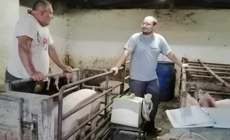 Porodica Stanković: Srce i traktor za farmu svinja
