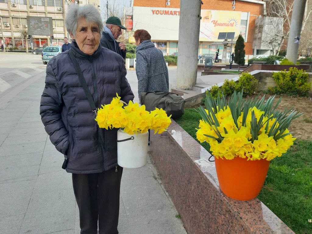 Marica prodaje najlepše cvetove narcisa