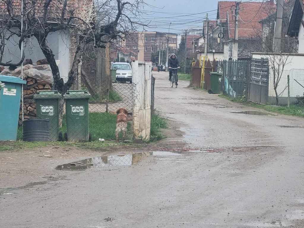 Biciklista zadobio povrede u sudaru sa „puntom“ u leskovačkom naselju Rade Žunić