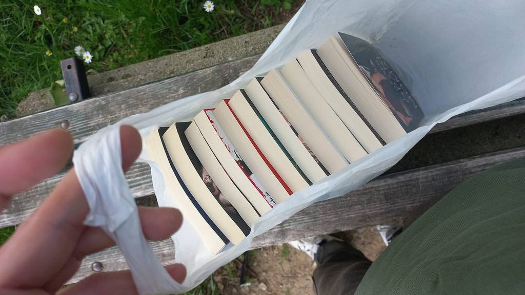 Mladić iz Leskovca pronašao knjige na klupi, odlučio da ih donira biblioteci MZ Milentije Popović