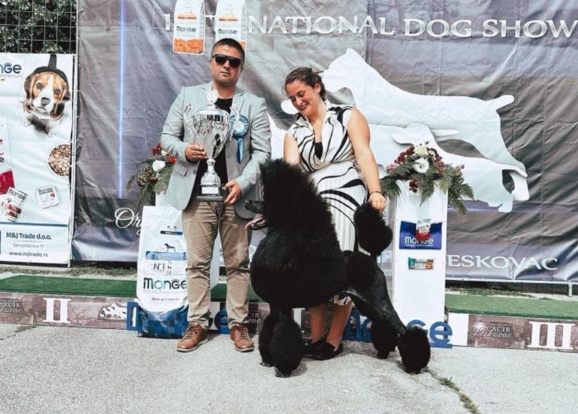 Velika crna pudla iz Praga najlepši pas na Internacionalnon takmičenju u Leskovcu