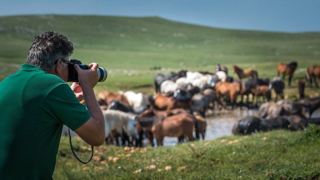 Otvoren konkurs za najbolje ruralne fotografije u 2024. godini – nominujte svoju