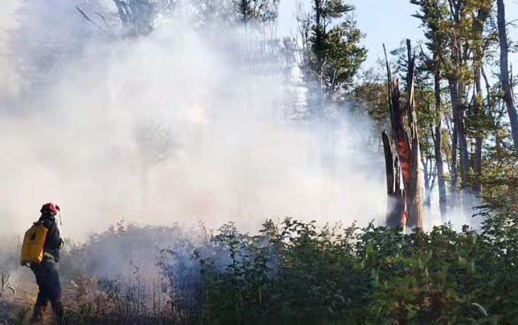 Bukti požar kod manastira Prohor Pčinjski, gase ga 43 vatrogasaca, u pomoć stižu i dva helikoptera