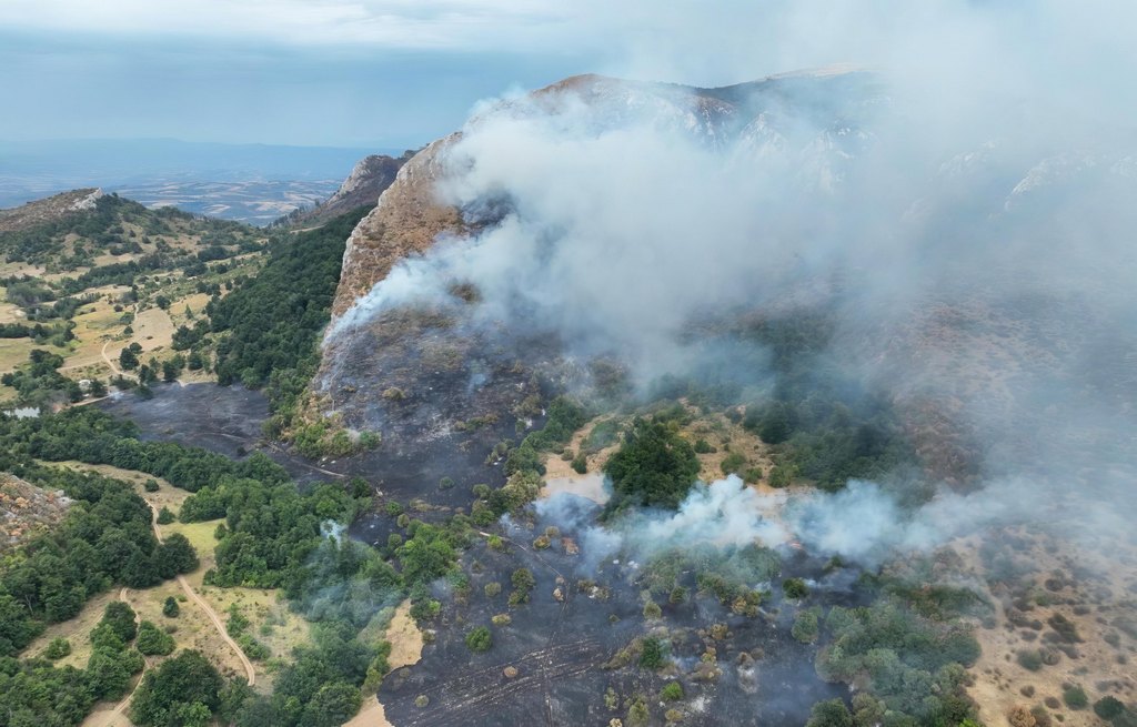 Bukte požari u celoj Srbiji: Vatrogasci još uvek gase požar na Vidlič planini u Pirotu