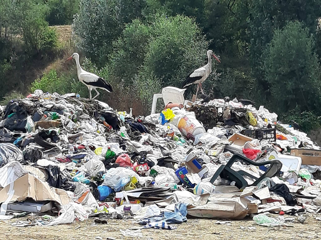 Ponesite dobru volju i dođite na čišćenje Vranjske reke 29. septembra