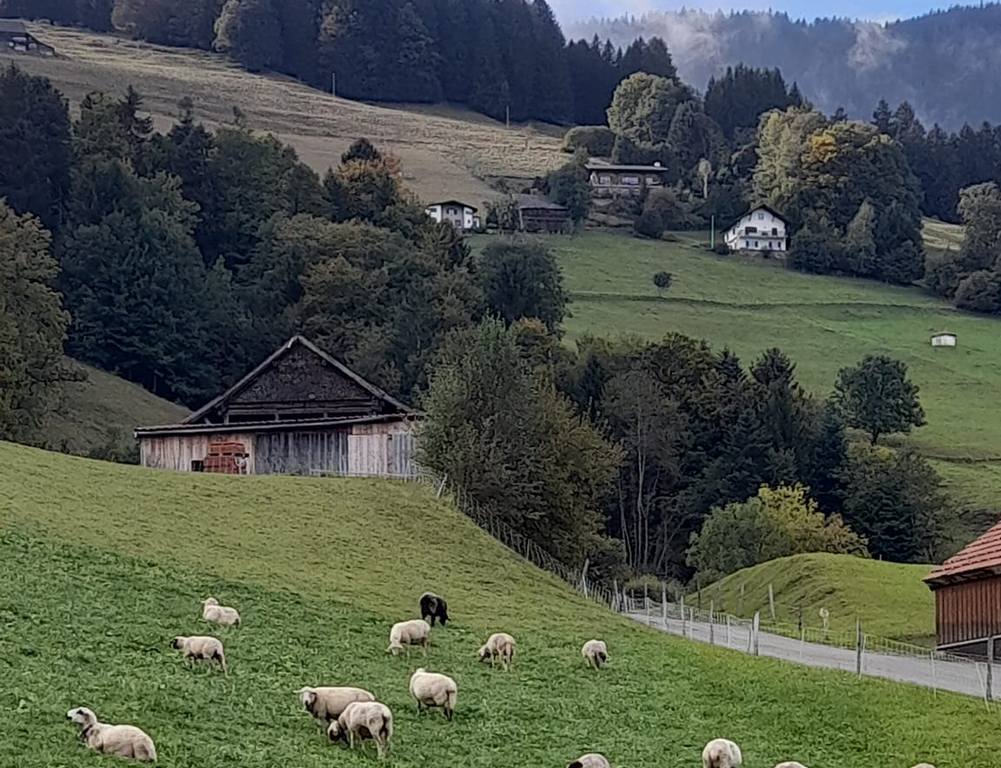 Seoska kuća s okucnicom od koje zastaje dah