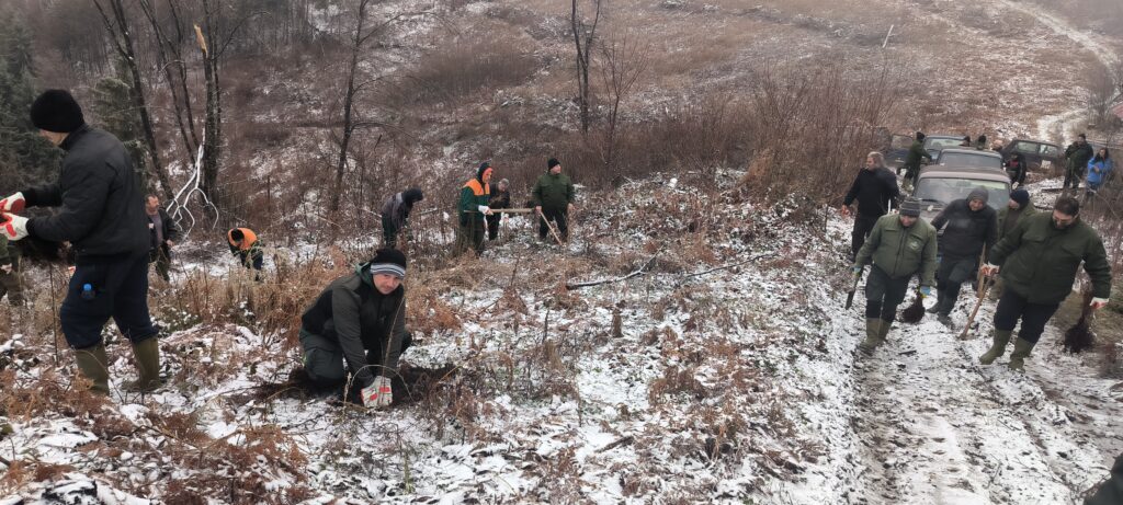 Pošumljavanje u selu Podrimce i na planini Kukavica