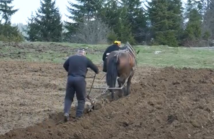 BUĐENJE U SREDNJEM VEKU