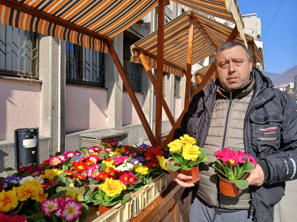 Drvo novca i dalje moderno u osmomartovskoj ponudi cveća Jovana Mladenovića