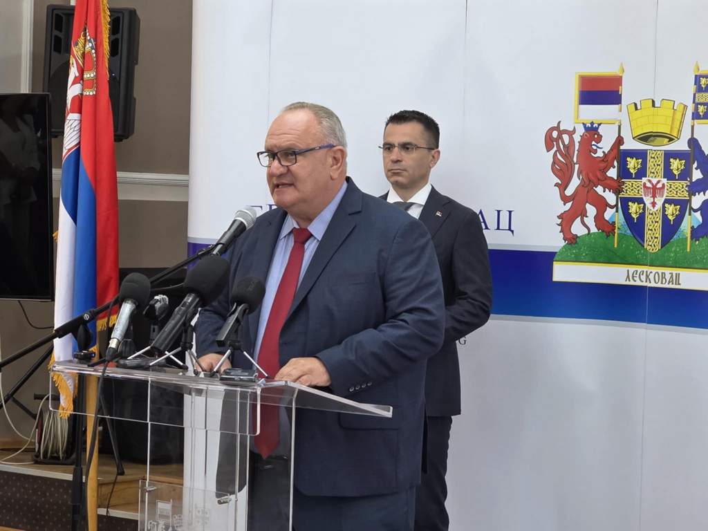 Letnji kampovi za decu iz dijaspore – Leskovac među zainteresovanim gradovima