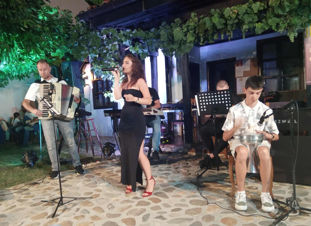 Pesme za svačiji ukus na koncertu mladih vlasotinačkih muzičara