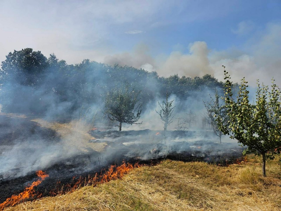 Požar u Slavujevcu zahvatio šumu i voćnjake, vatrogasci i meštani gase vatru