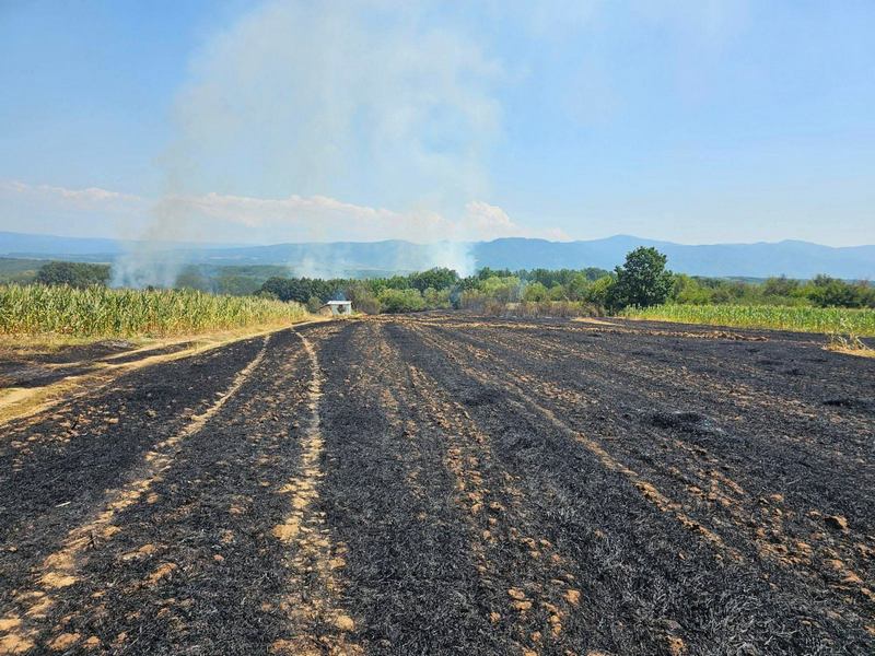 Gori iznad Gornjeg Sinkovca i Vlasa, vatra se širi ka Šišincu, Kukulovcu i Togočevcu