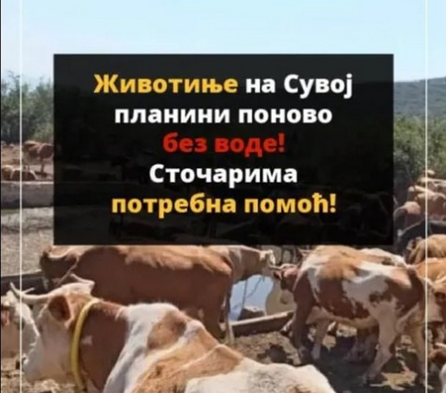Na Suvoj planini životinje ponovo bez vode