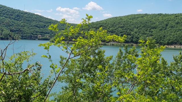 Muškarac (43) nastradao u požaru kod Bovanskog jezera