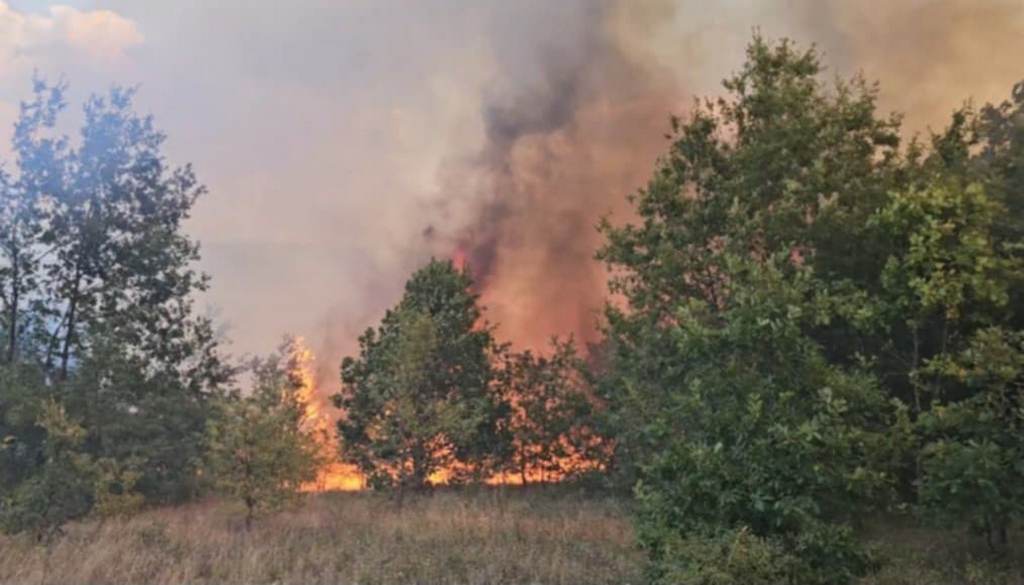 Požar se u Čekminu ponovo rasplamsao, širi se i prema susednim selima