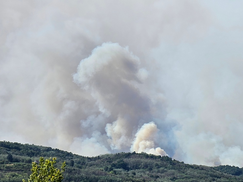 Treći dan borbe s požarom u okolini Leskovca, vatrogasci neumorno brane naseljena mesta