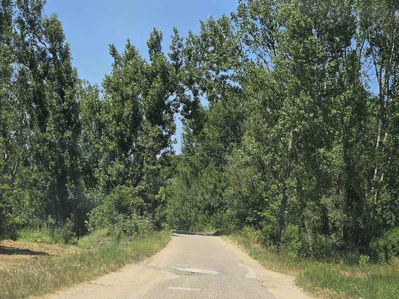 Teško povređena dva muškarca na putu od Pašine Česme – jedan prebačen u Beograd, drugi u Niš