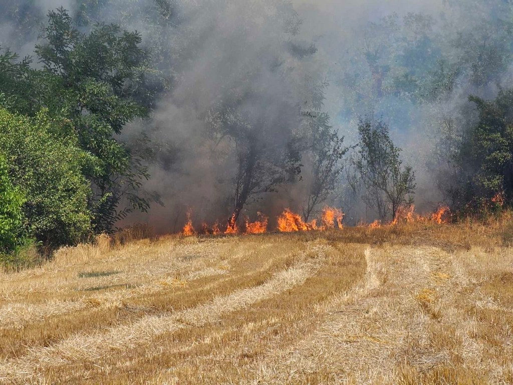 Veliki požar u Razgojni kod Leskovca, gori i šuma (video)