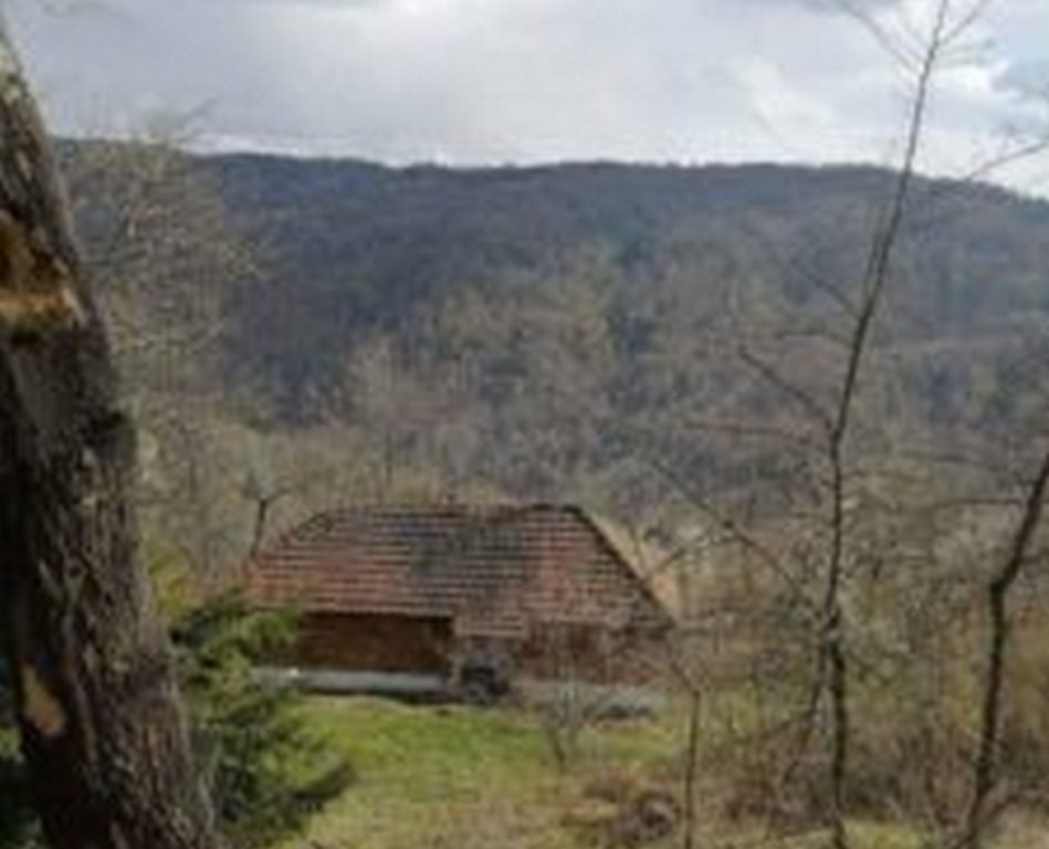 Tuga: Poslednji stanovnik leskovačkog sela Mrkovica četiri dana u bolovima bez vode i hrane