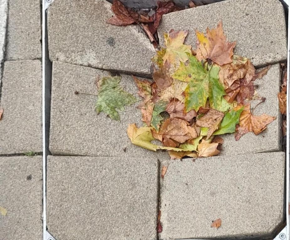 Raspadaju se pločice na delu Gradskog trga u Leskovcu