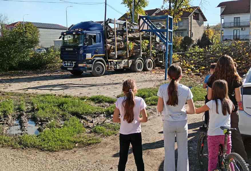 Meštani naselja Rade Žunića tužni zbog posečenog drveća, kažu da je to bilo mesto hladovine i dečijeg smeha