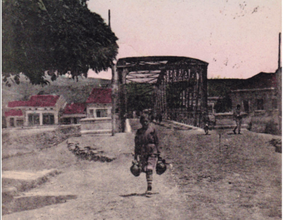 Sto godina života žene u Srbiji na primeru Bogdane Petrović iz Vlasotinca