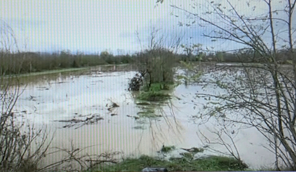 Južna Morava se izlila: evakuisano devet meštana, zatvoreni mostovi