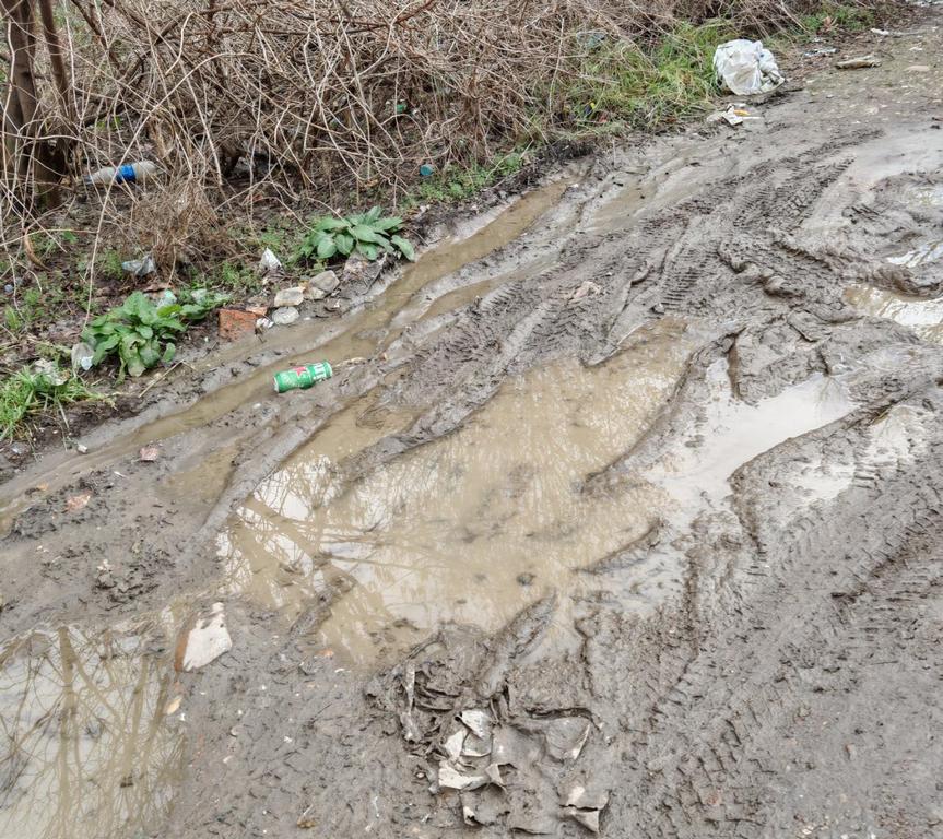 Grad ili selo? Višnjićeva ulica pretvorena u blatnjavu klopku usred Leskovca