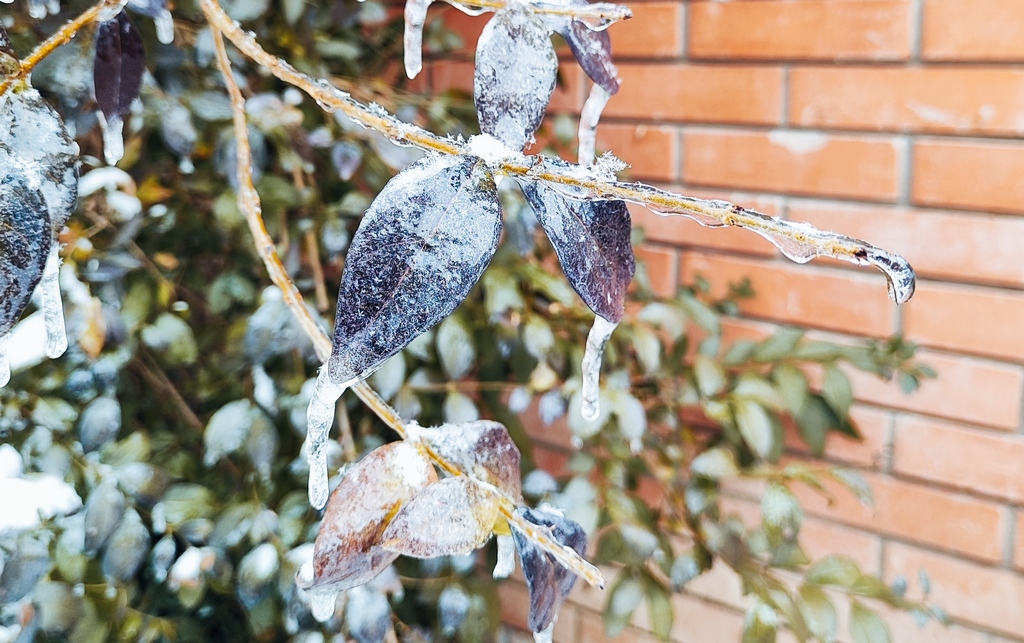 Hladni talas zahvatio Srbiju, temperature i do minus 15 stepeni