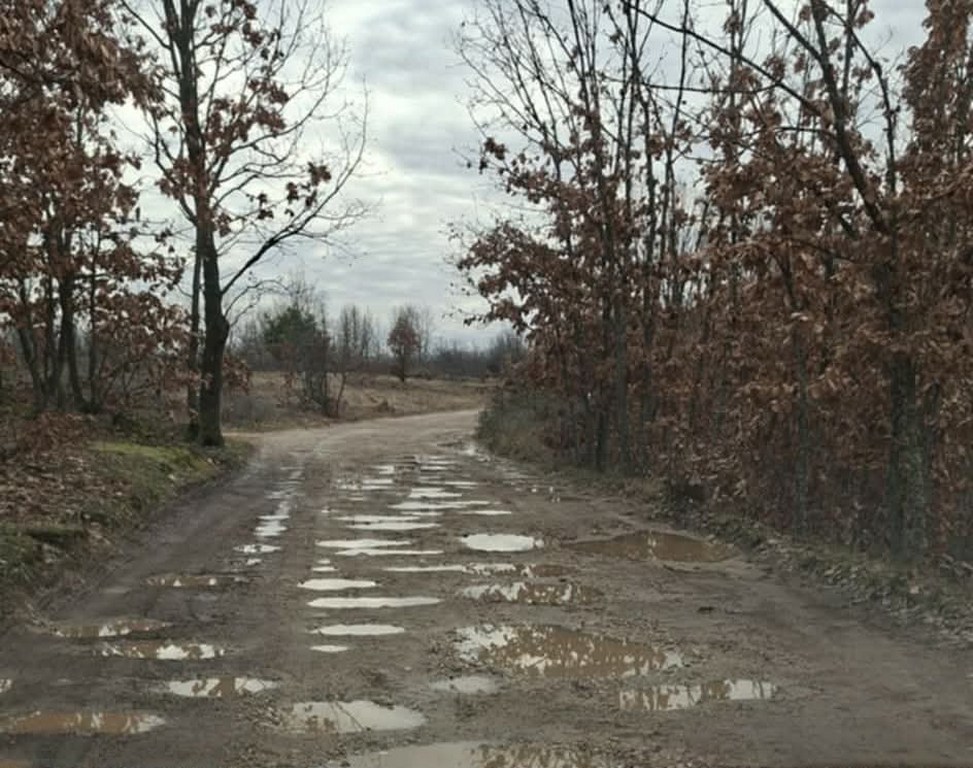 Apel meštana Nove Topole: Asfalt kao nada za život i opstanak sela