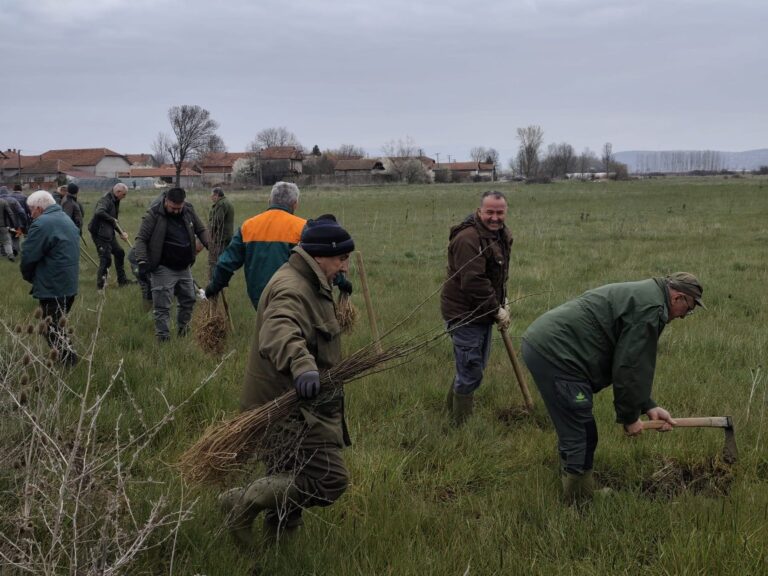 Leskovac obeležio Dan šuma sadnjom hiljada sadnica
