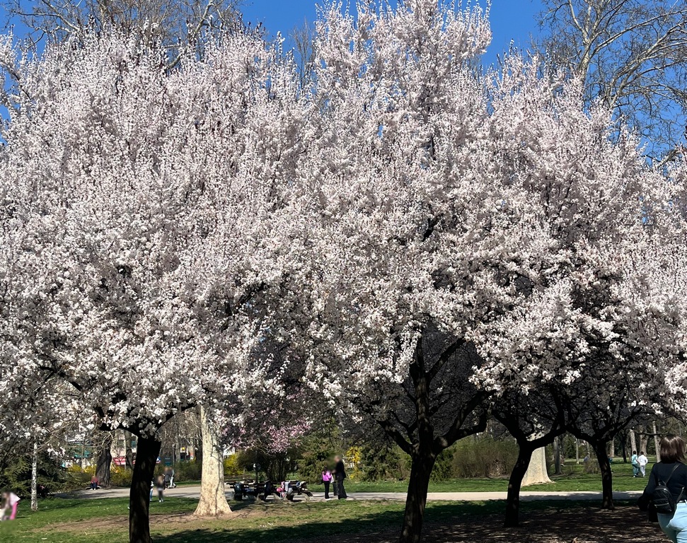 Danas u 15 sati i 46 minuta počinje proleće