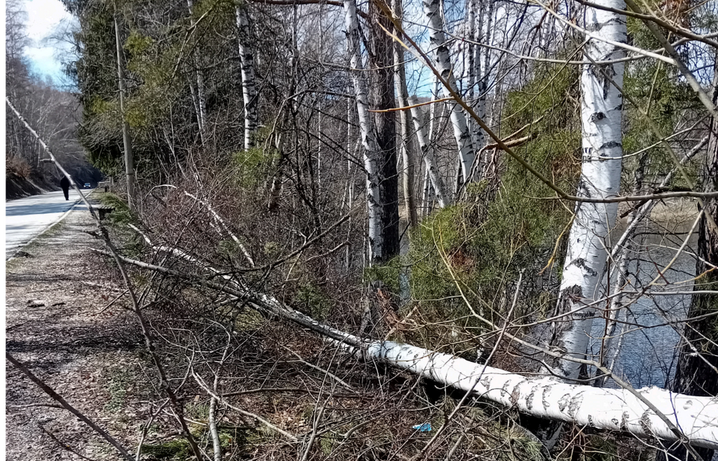 Ujedinjena opozicija: Ekološki i infrastrukturni kolaps Vlasinskog jezera