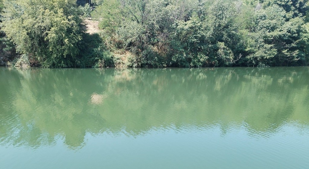 Suzbijanje larvi komaraca u sredu u Vlasotincu
