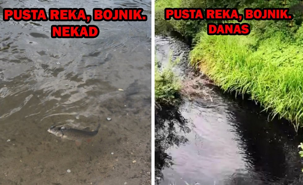 Pusta Reka je mrtva, nema riba, žaba, rakova i nema odgovora nadležnih