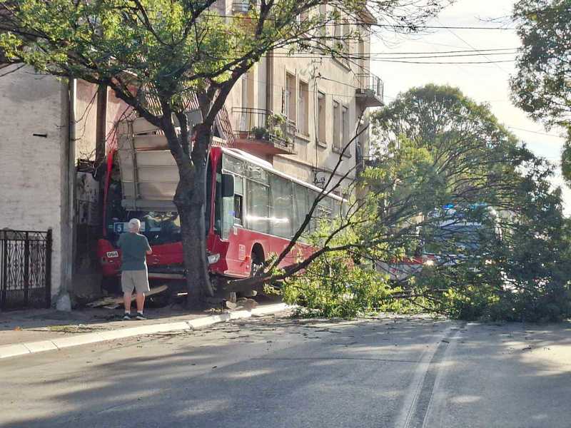 Autobus udario u drvo, među povređenima i dvojica dečaka