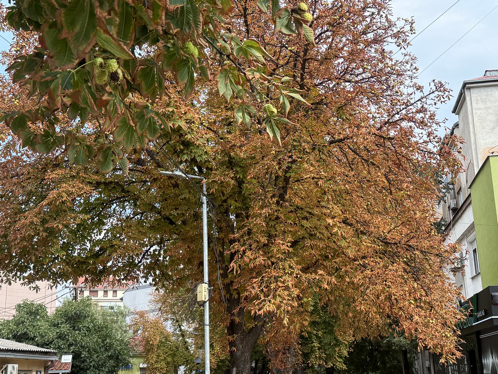Danas je poslednji dan leta, sutra počinje jesen